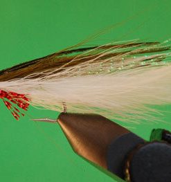 Deceiver (olive / white)