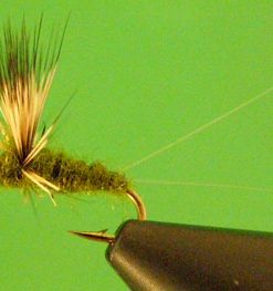 Blue Winged Olive (comparadun)