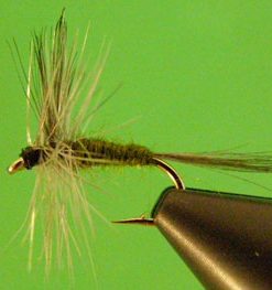 Blue Winged Olive