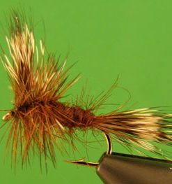 Brown Wulff
