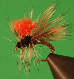 Clown Shoe Caddis
