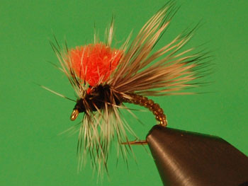 Clown Shoe Caddis – IckyFlyWorks