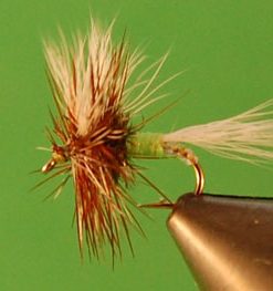 GTH Variant