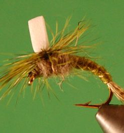 Green Drake Sprout Emerger