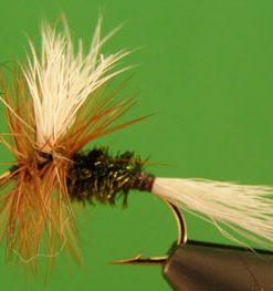 H&L Variant