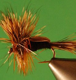 Humpy (black)
