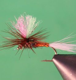 Parachute Variant Brown