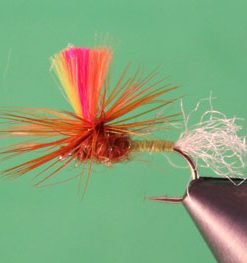 Parachute Variant Lime