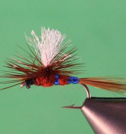 Patriot Mayfly