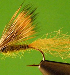 X-Caddis (olive)