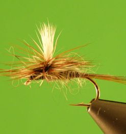 Adams (parachute)