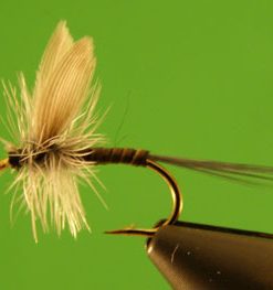 Blue Quill