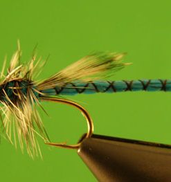 Blue Damselfly