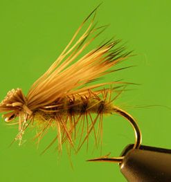 Elk Hair Caddis (olive)