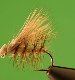 Elk Hair Caddis (tan)