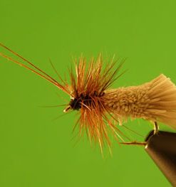 Goddard Caddis