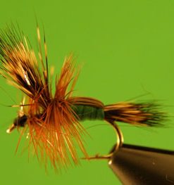 Humpy (green)