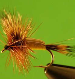 Humpy (yellow)