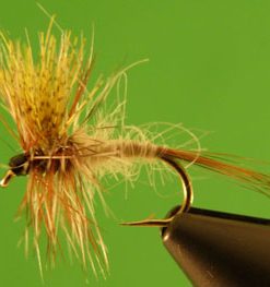 March Brown