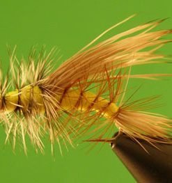Stimulator (yellow)