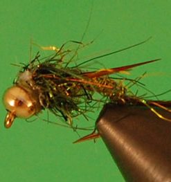 Evil Weevil - 2 Tone