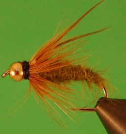 Caddis Pupa (bead head)