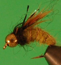 Caddis Super Pupa (bead head)
