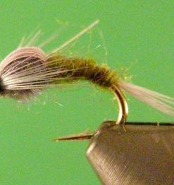 Barr's Emerger