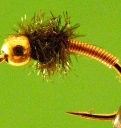 Brassie (copper bead head)