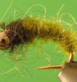 Caddis Larvae (bead head)