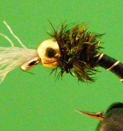 Chironomid (black)