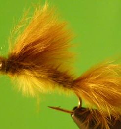 Damselfly (marabou)