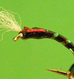 Epoxy Chironomid (black)