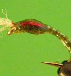 Epoxy Chironomid (green)