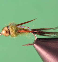 Flashback Weevil