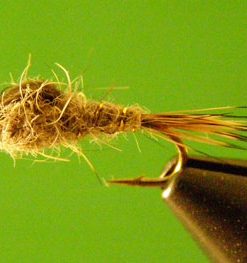 Hare's Ear