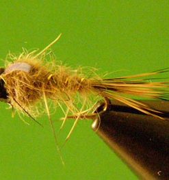 Hare's Ear (bead head flashback)