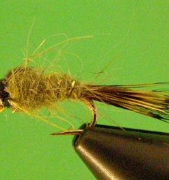 Hare's Ear (olive bead head)