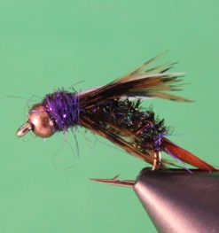 Holo Purple Prince (bead head)