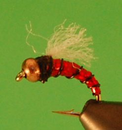 Holochron (red)