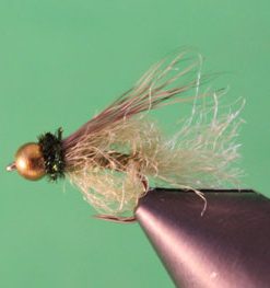 LaFontaine Sparkle Pupa