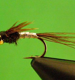 Lightning Bug