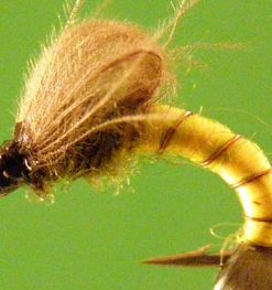 Pale Morning Dun (emerger)
