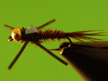 Pheasant Tail X (bead head) – IckyFlyWorks