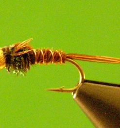 Pheasant Tail (bead head)