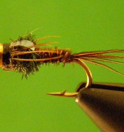 Pheasant Tail (bead head flashback)