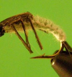 Polish Nymph (olive)