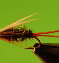 Prince Nymph
