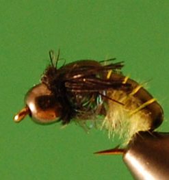 Rock Roller Caddis (BH)