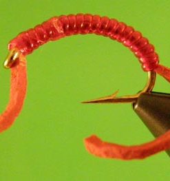 Rubber Worm